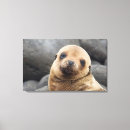 Buscar ecuador lienzos Danita delimont