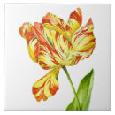 Buscar tulipanes azulejos Para ellos