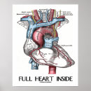 Buscar corazón anatómico posters Amor