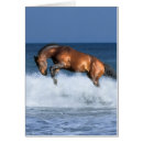 Buscar francais postales Mar