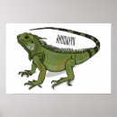 Buscar del reptil posters Lagarto