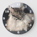 Buscar maine coon relojes de pared Gato