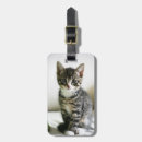Buscar gatito etiquetas para maletas Lindos