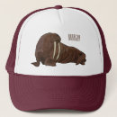 Buscar mamíferos gorras Océano