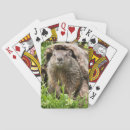 Buscar tronco barajas de cartas Vida silvestre