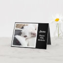 Buscar funny dog tarjetas Amantes del perro