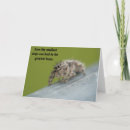 Buscar arácnidos tarjetas Araña