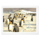 Buscar pájaros fotografía Nieve