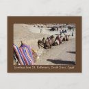 Buscar camellos postales Animal