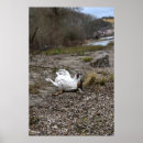 Buscar capo posters Playa