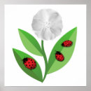 Buscar escarabajo verde posters Naturaleza