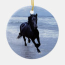 Buscar caballos salvajes adornos Ecuestre