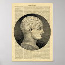Buscar frenología posters Humano