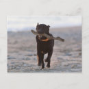 Buscar tarifa postales España