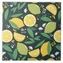 Buscar de la fruta azulejos Cítrico