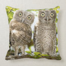 Buscar rapaces cojines Observación de pájaros