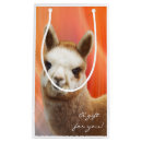 Buscar de la alpaca General y unisex