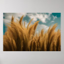 Buscar realista arte Naturaleza