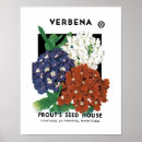 Buscar verbena arte Jardín