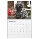 Buscar pollo calendarios Gallos