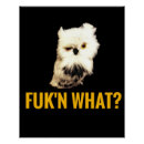 Buscar búho divertido posters Humor