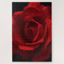 Buscar escaladores puzzles Rosa