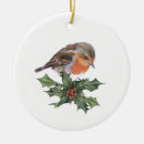 Buscar robin adornos Árbol