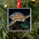 Buscar tortugas de mar adornos Marina