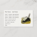 Buscar nariz tarjetas de visita Ilustracion