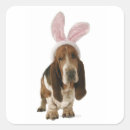 Buscar basset hound pegatinas Canina