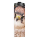 Buscar falcone tazas Pájaros de presa