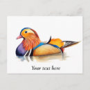 Buscar mandarín postales Para todos