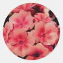 Buscar aleta pegatinas Rosa