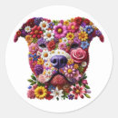 Buscar pitbull pegatinas Pozo