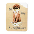 Buscar perro de caza imanes Coonhound