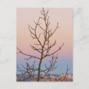 Buscar desnudos postales Árbol desnudo