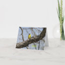 Buscar pinzones postales Goldfinch