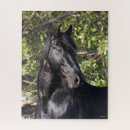 Buscar cabeza de caballo puzzles Negro