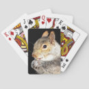 Buscar nuez barajas de cartas Naturaleza