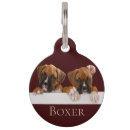 Buscar boxeador mascotas Perro