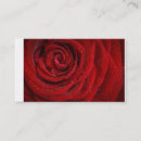 Buscar rosas rojas tarjetas de visita Rojo