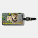 Buscar león accesorios Rey