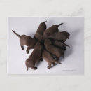 Buscar grupos postales Horizontal