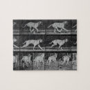 Buscar 707 Muybridge