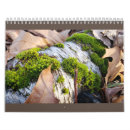 Buscar setas calendarios Bosques