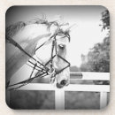 Buscar caballo posavasos Ecuestre