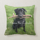 Buscar labrador retriever cojines Adorable