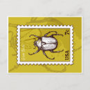 Buscar beetle postales Entomología