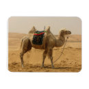 Buscar mongolia imanes Desierto