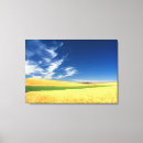 Buscar trigo lienzos Cosecha